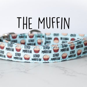 Stud Muffin dog collar, blue dog collar, boy dog collar image 1