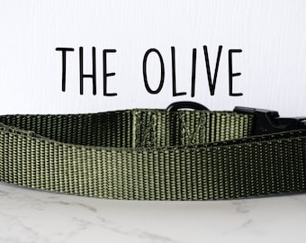 Olive Green Webbing dog collar