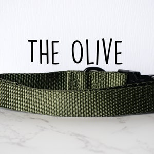 Olive Green Webbing dog collar