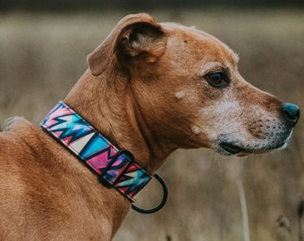 Colorful dog collar, dog collar, pink dog collar, blue dog collar