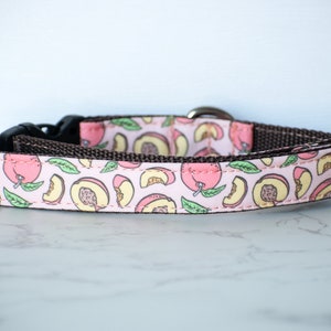Summer Dog Collar, Pink Dog Collar, Peach Dog Collar