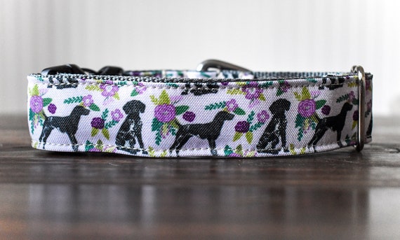 Purple flower hotsell dog collar
