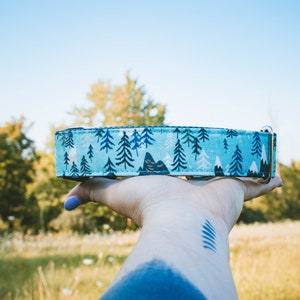 Blue Dog Collar, Tree Dog Collar, Dog Collar outdoor