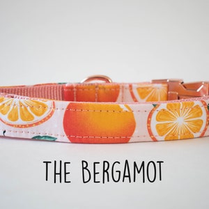 Dog Collar, Girl Dog Collar, Summer Dog Collar, Dog Collar for summer, Pink dog collar, Orange Dog Collar, Fruit Dog Collar,Small Dog Collar