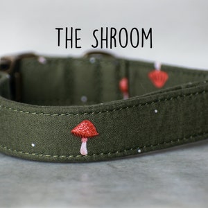 Fall Dog Collar, Mushroom Dog Collar, Green Dog Collar, Dog Collar Green