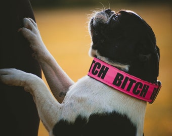 Pink Outdoor Dog Collar: Water Resistant Polyester