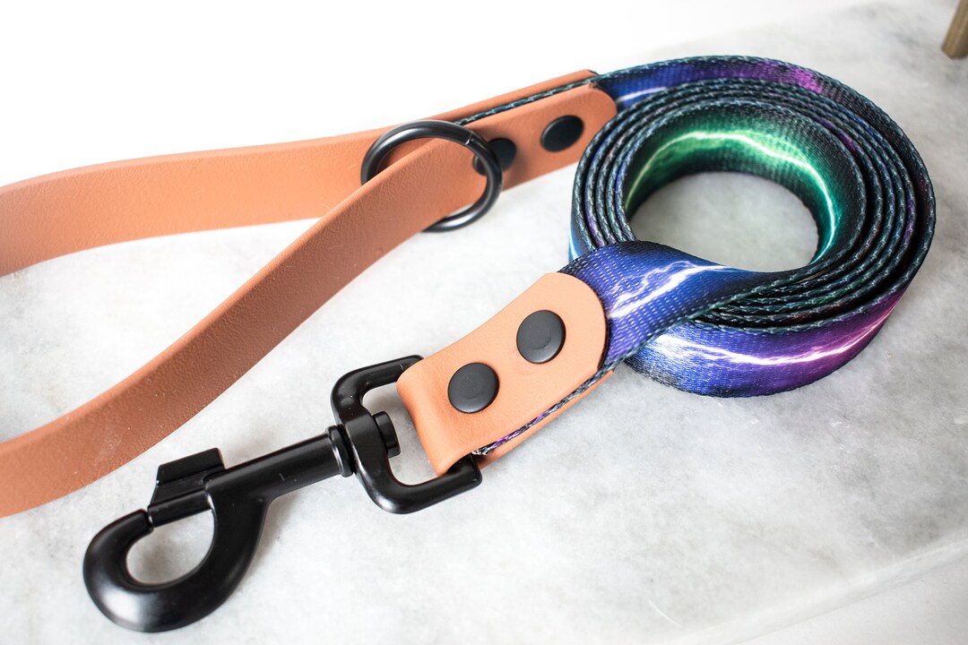 Biothane Leash, bing Leash, Fish Leash, Fish Scale, Dog Leash