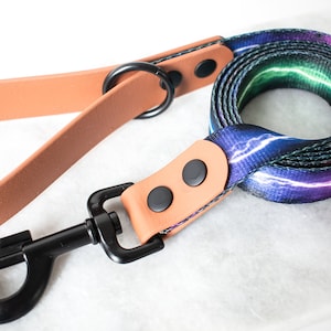 Biothane leash, webbing leash, fish leash, fish scale, dog leash, hybrid dog leash