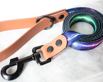 Biothane leash, webbing leash, fish leash, fish scale, dog leash, hybrid dog leash
