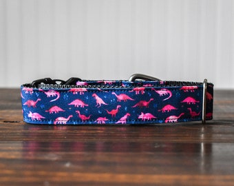 Dinosaur Dog Collar: Navy Blue & Pink Dino Print, Outdoor Collar
