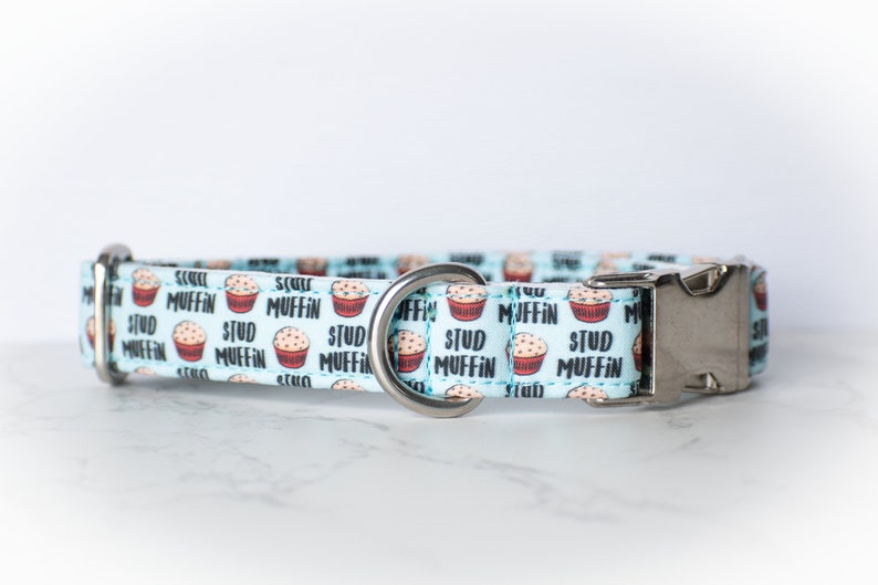 Stud Muffin dog collar, blue dog collar, boy dog collar image 2