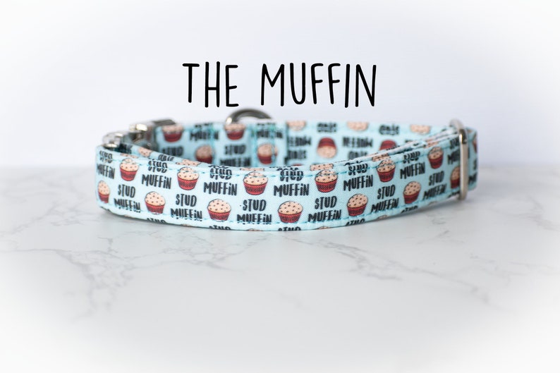 Stud Muffin dog collar, blue dog collar, boy dog collar image 1