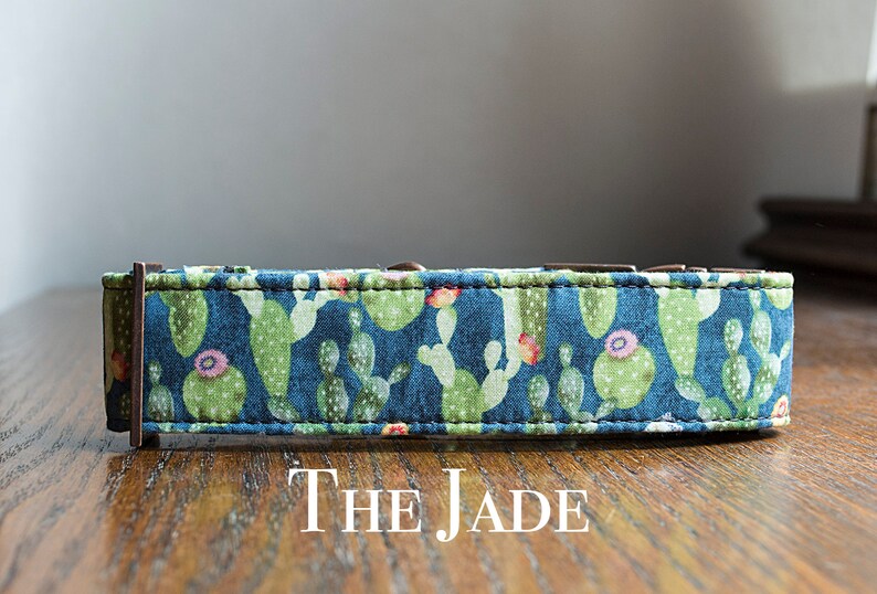succulent dog collar