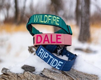 Personalized Tactical Dog Collar: Military Spec Webbing