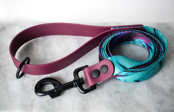 Biothane Leash, Webbing Leash, Fish Leash, Fish Scale, Dog Leash, Hybrid  Dog Leash -  Canada