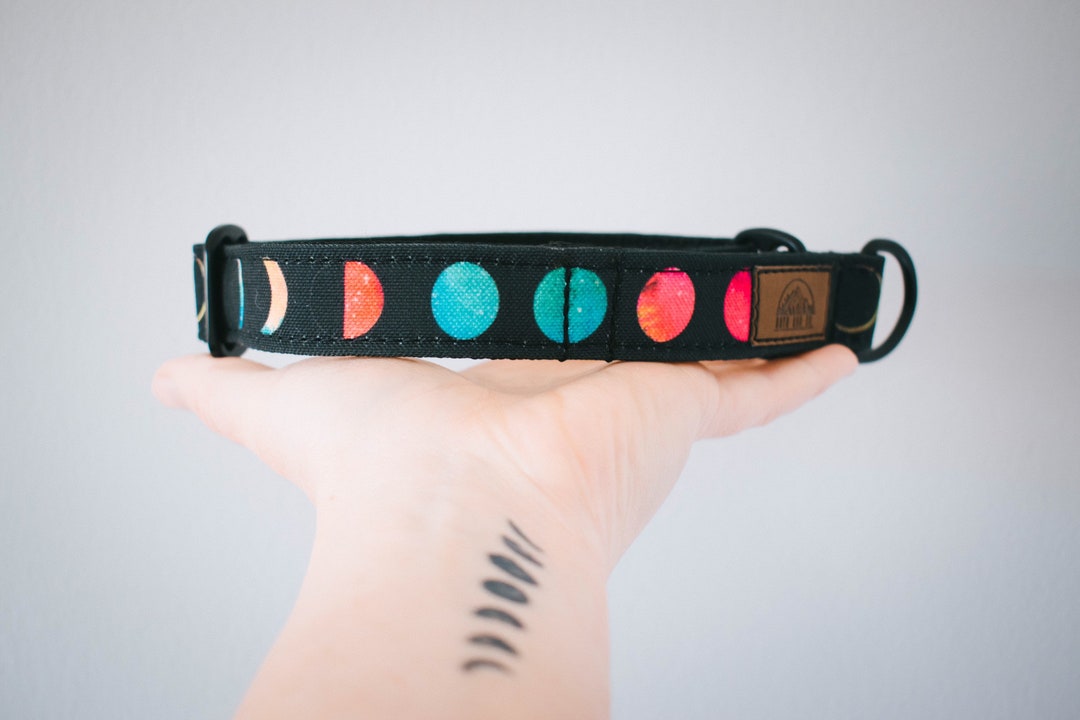 Camping Dog Collar, Hiking Dog Collar, Dog Collar Camping, Dog Collar