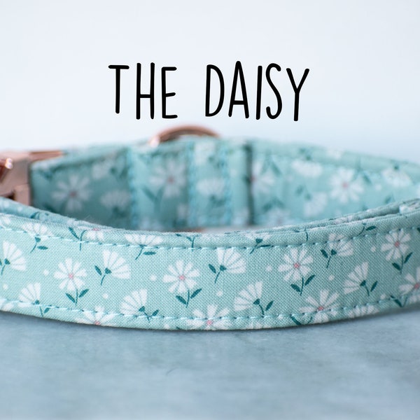 Daisy Dog Collar, Light Blue Dog Collar, Girly Dog Collar, Daisy floral dog collar