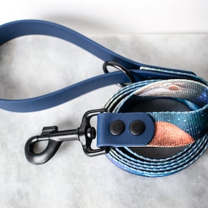 Biothane leash, webbing leash, fish leash, fish scale, dog leash, hybrid dog leash