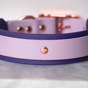 Purple Dog Collar, Rose Gold Dog Collar, Lilac Dog Collar, Dog Collar Purple, biothane, waterproof dog collar