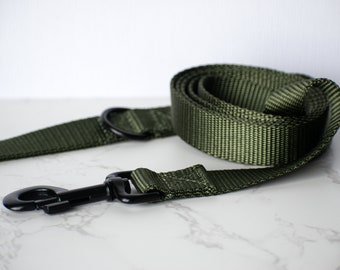 green nylon webbing dog leash, dog leash, green dog leash