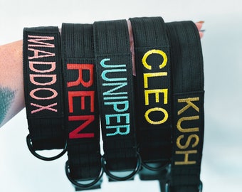 Embroidered Dog Collar: Personalized Military Spec Webbing