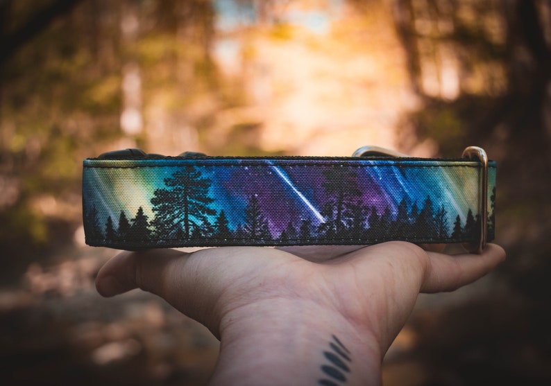 Northern Lights Dog Collar: Outdoor Adventure Collar
