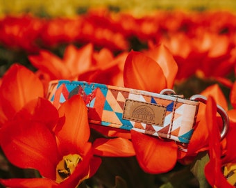 Tribal Aztec Dog Collar: Outdoor Adventure Collar
