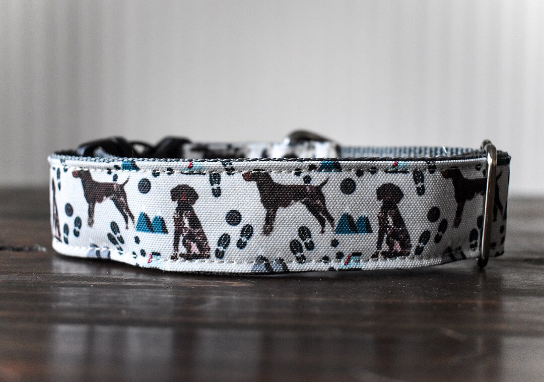 German Shorthaired Pointer Dog Collar GSP Dog Collars Etsy