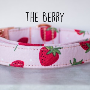 Strawberry Summer dog Collar, Girl Dog Collar, Pink Dog collar for girl