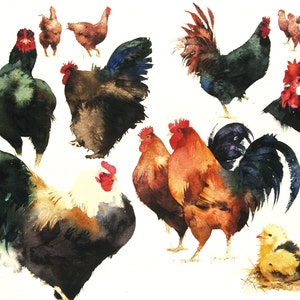 Chicken Sampler