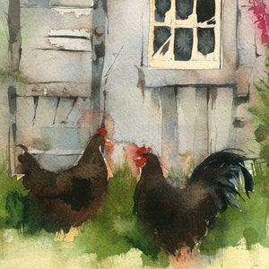 The Old Shed Giclee Print