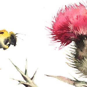 Bee with Thistle