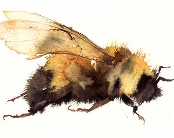 Resting Bumblebee