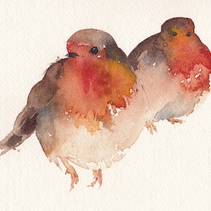 Two Robins KO70