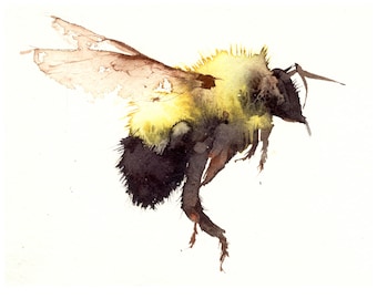 Bumblebee Giclee Print