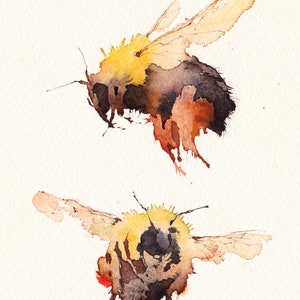 Two Bumblebees