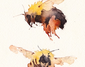 Two Bumblebees