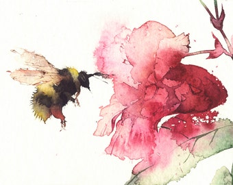 Bee with Balsam