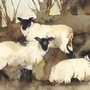Winter Sheep