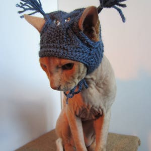 cat owl hat, crochet cat hat, animal hat, cat costume, Pet Clothing, Pet Costumes, cat hat costume, hats for cats, knit cat hat, costume owl