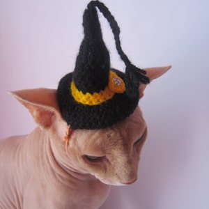 cat hat, crochet cat hat, animal hat, cat, cat costume, Pet Clothing, Pet Costumes, cat hat costume, hats for cats, knit cat hat, costume