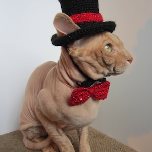 cat hat, crochet cat hat, animal hat, cat, cat costume, Pet Clothing, Pet Costumes, cat hat costume, hats for cats, knit cat hat, costume