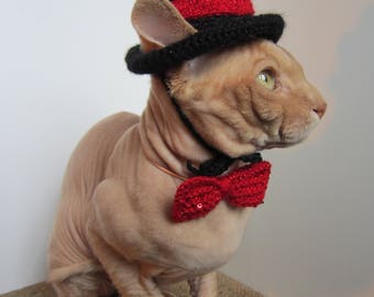 cat hat, crochet cat hat, animal hat, cat, cat costume, Pet Clothing, Pet Costumes, cat hat costume, hats for cats, knit cat hat, costume