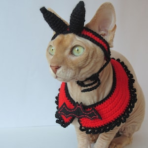cat hat, crochet cat hat, animal hat, cat, cat costume, Pet Clothing, Pet Costumes, cat hat costume, hats for cats, knit cat hat, costume