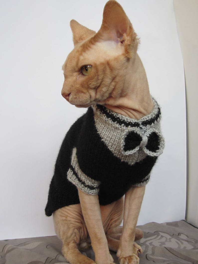 Pu&ograve; includere: Un gatto senza pelo che indossa un maglione di lana nero e grigio con un papillon. Il gatto &egrave; seduto su una superficie a motivi.