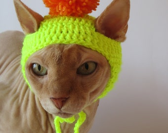 chapeau de chat, chapeau de chat au crochet, chapeau animal, chat, costume de chat, vêtements pour animaux de compagnie, déguisements d'animaux de compagnie, costume de chapeau de chat, chapeaux pour chats, chapeau de chat en tricot, costume
