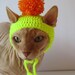 see more listings in the CAT ACCESSORIES section