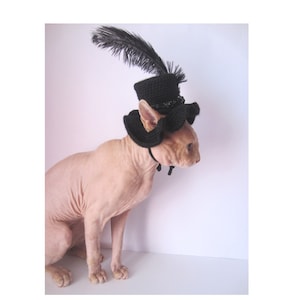 cat hat, crochet cat hat, animal hat, cat, cat costume, Pet Clothing, Pet Costumes, cat hat costume, hats for cats, knit cat hat, costume