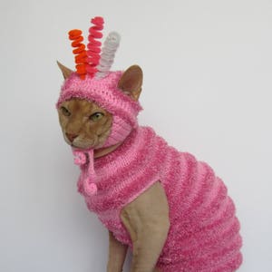 cat hat, cat sweater, Pet Costumes costume, clothing for cat, sphynx cat sweater, warm cat clothes, sphynx sweater, knitted cat clothes