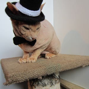 cat hat, crochet cat hat, animal hat, cat, cat costume, Pet Clothing, Pet Costumes, cat hat costume, hats for cats, knit cat hat, costume